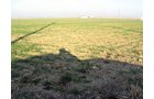 Property photo 2 - 60 Acres Offered in 2 Tracts